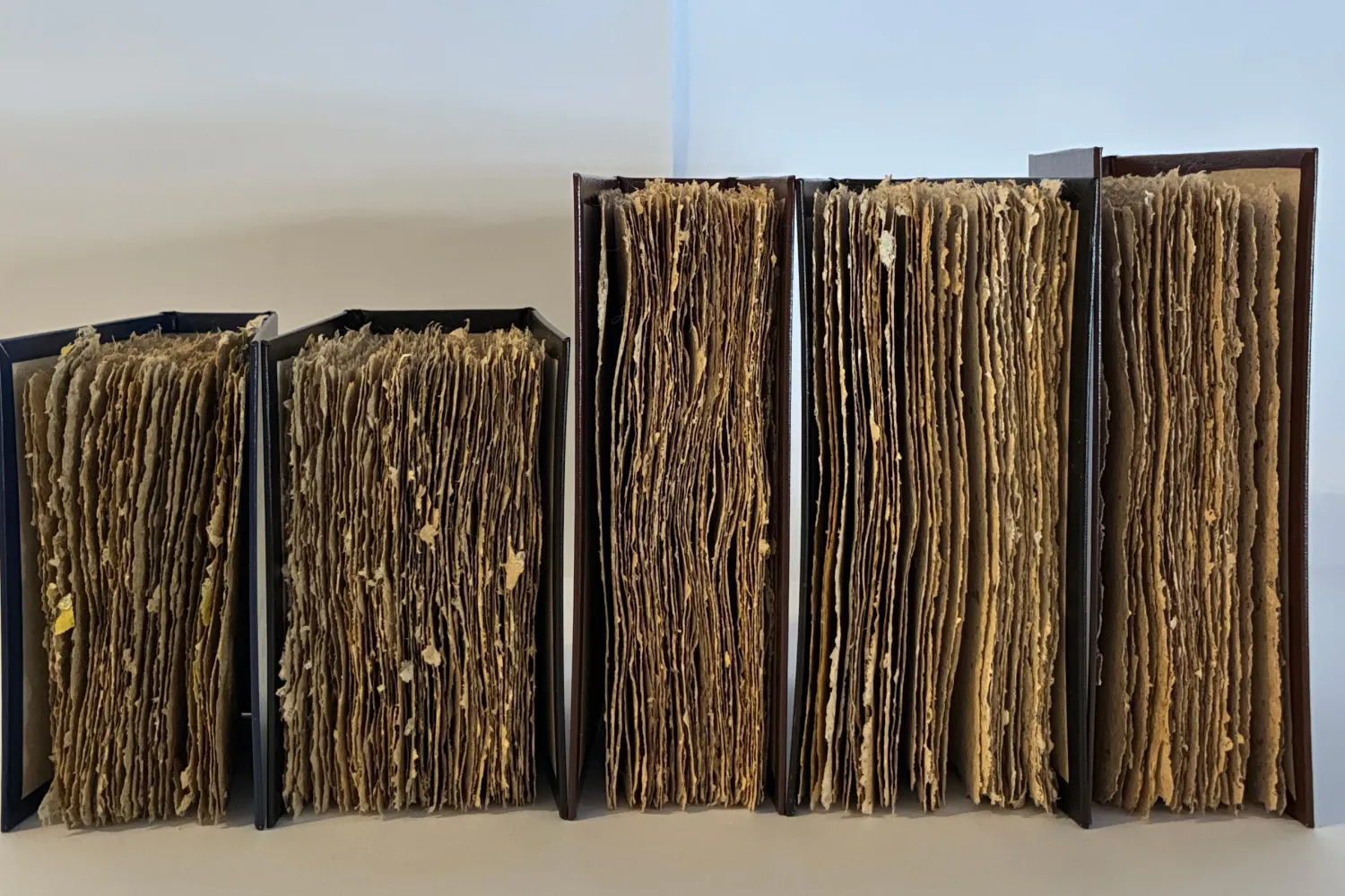    Jel Suarez, Selected artists’ book works for A bouquet of flowers must be held, 2026. Image courtesy of the artist.  5 Books lined up, with pages facing front, on a blue and grey background.