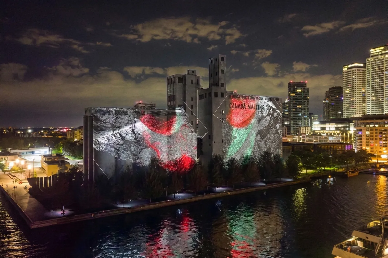Artwork projection of Decomposition No. 7 Undergrowth by Ali Phi