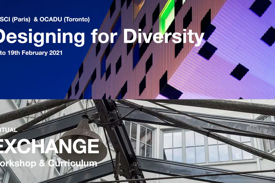 A banner for Designing for Diversity Feb 2021 in Paris