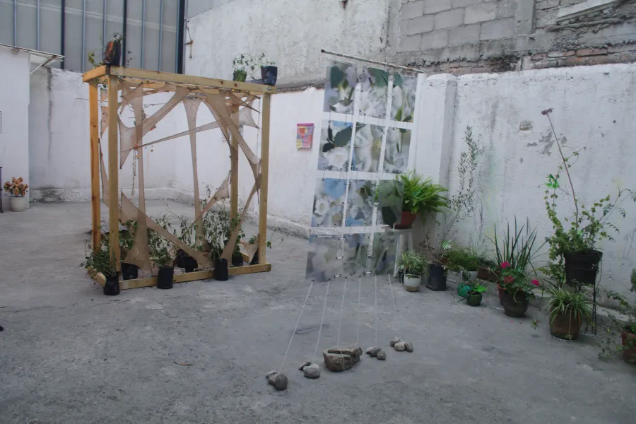 Display in a garden