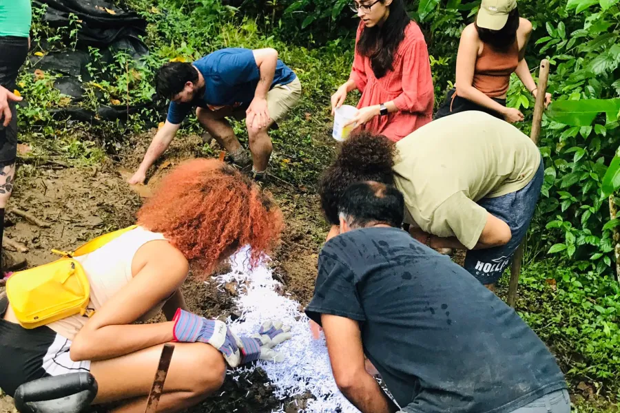 people examining something in the earth