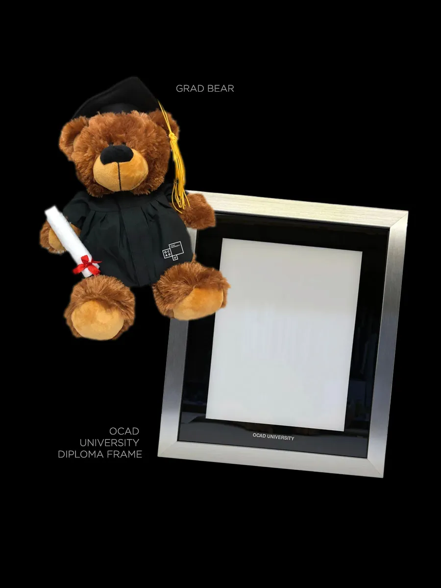 Grad bear and diploma frame