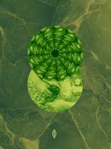 green digital collage