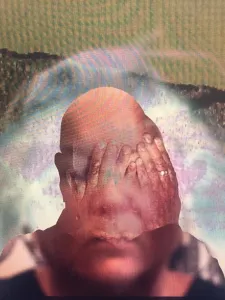 Screenshot from Dr. Patterson's Ocular Occurrences: Sites of Perception 