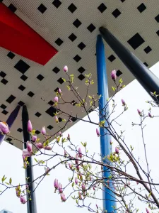 Photo of the OCAD U Tabletop building, white with black squares and a red pillar with purple and blue pillars and a magnolia tree in front