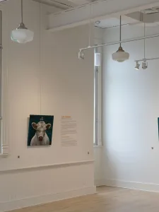 Paintings on display at Aurora Cultural Centre Homeroom Galleries