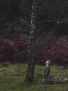 Artwork Impermanent. It's a photograph of a caucasian man in suite kneel down by a tree in a nature setup.