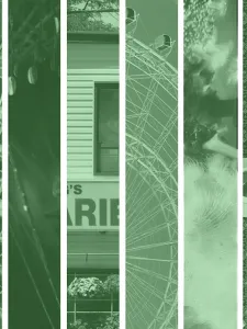 Photos in green filter