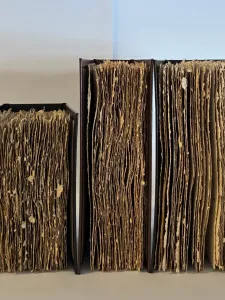    Jel Suarez, Selected artists’ book works for A bouquet of flowers must be held, 2026. Image courtesy of the artist.  5 Books lined up, with pages facing front, on a blue and grey background.