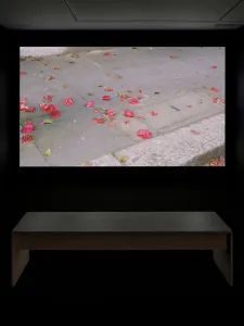 exhibition documentation from Erdem Tasdelen. A video is projected in a dark room, with a bench to sit and watch. 