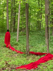 A person in a flowing red garment walks through a lush green forest, with the long fabric trailing across the forest floor among trees and wildflowers.