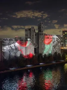 Artwork projection of Decomposition No. 7 Undergrowth by Ali Phi