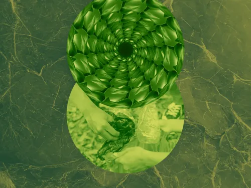 green digital collage