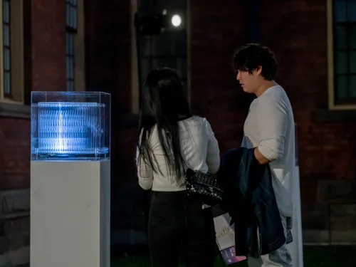 Two audience viewing art installation