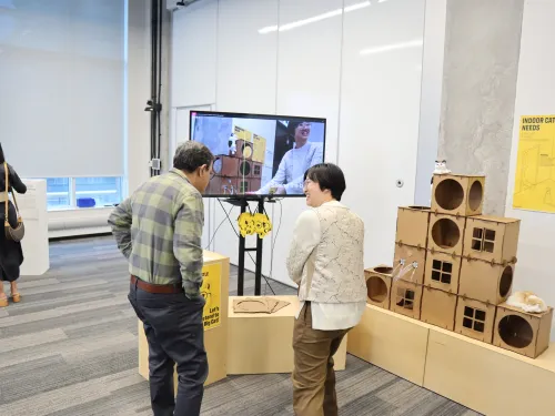 Two people looking at an art installation