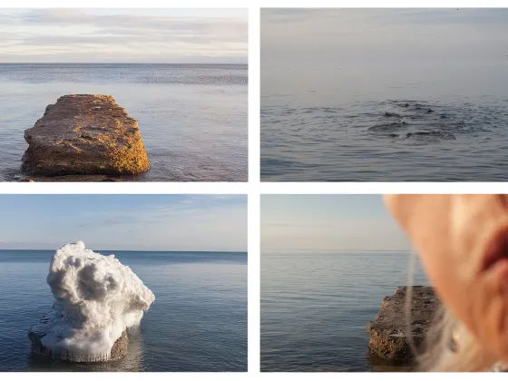 Artwork: April Hickox, Vantage Point-Passing series, n.d., four colour photographs in a grid of the lake from Toronto islands, from the same vantage point with various water, sky, climate, and season.