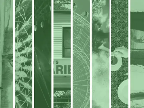 Photos in green filter