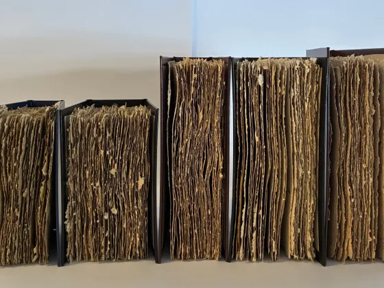    Jel Suarez, Selected artists’ book works for A bouquet of flowers must be held, 2026. Image courtesy of the artist.  5 Books lined up, with pages facing front, on a blue and grey background.