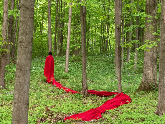 Person standing in a forest with a bright red piece of fabric trailing behind them