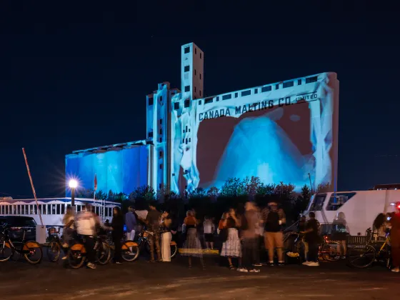 Crowd watching projection on Canada Malting Silos