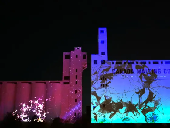 Artwork, "Breathe" of birds flying projected onto Canada Malting Silos