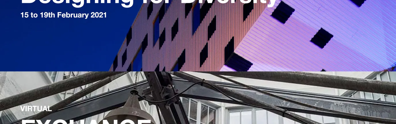A banner for Designing for Diversity Feb 2021 in Paris