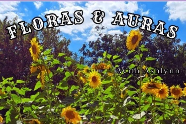 Text Floras and Auras with blue sky and sunflowers in the backgound