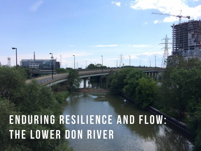 A colour photograph of the Don River with text overlaid that says "Enduring Resilience and Flow: The Lower Don River"