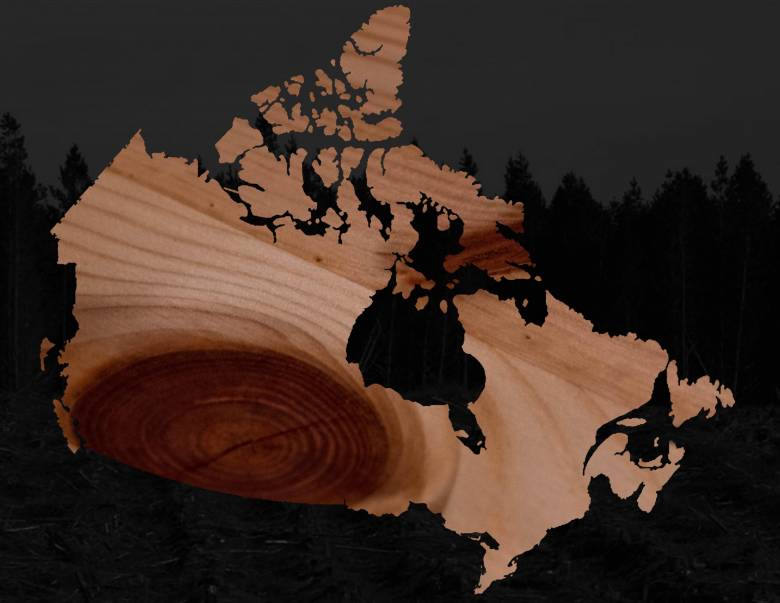 digital collage, wood grain visible beneath shape of map of Canada 