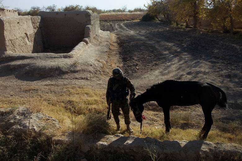 Photo © Louie Palu. An Afghan soldier pets an abandoned horse during a break in fighting somewhere located between Howz-E-Madad and Sangasar in Kandahar, Afghanistan.