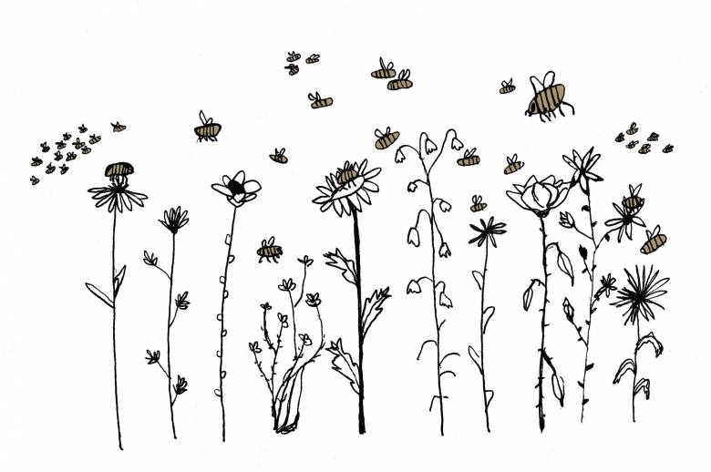 Illustration of flower and pollinators buzzing around