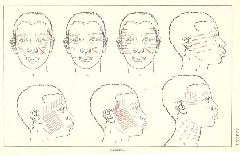 Drawings of faces detailing markings