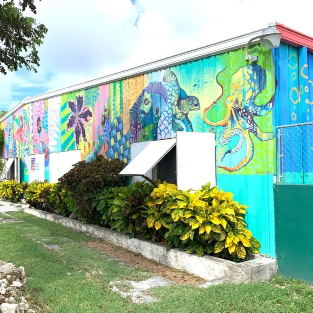 Incubator for Collaborative Expression, Nassau, Bahamas